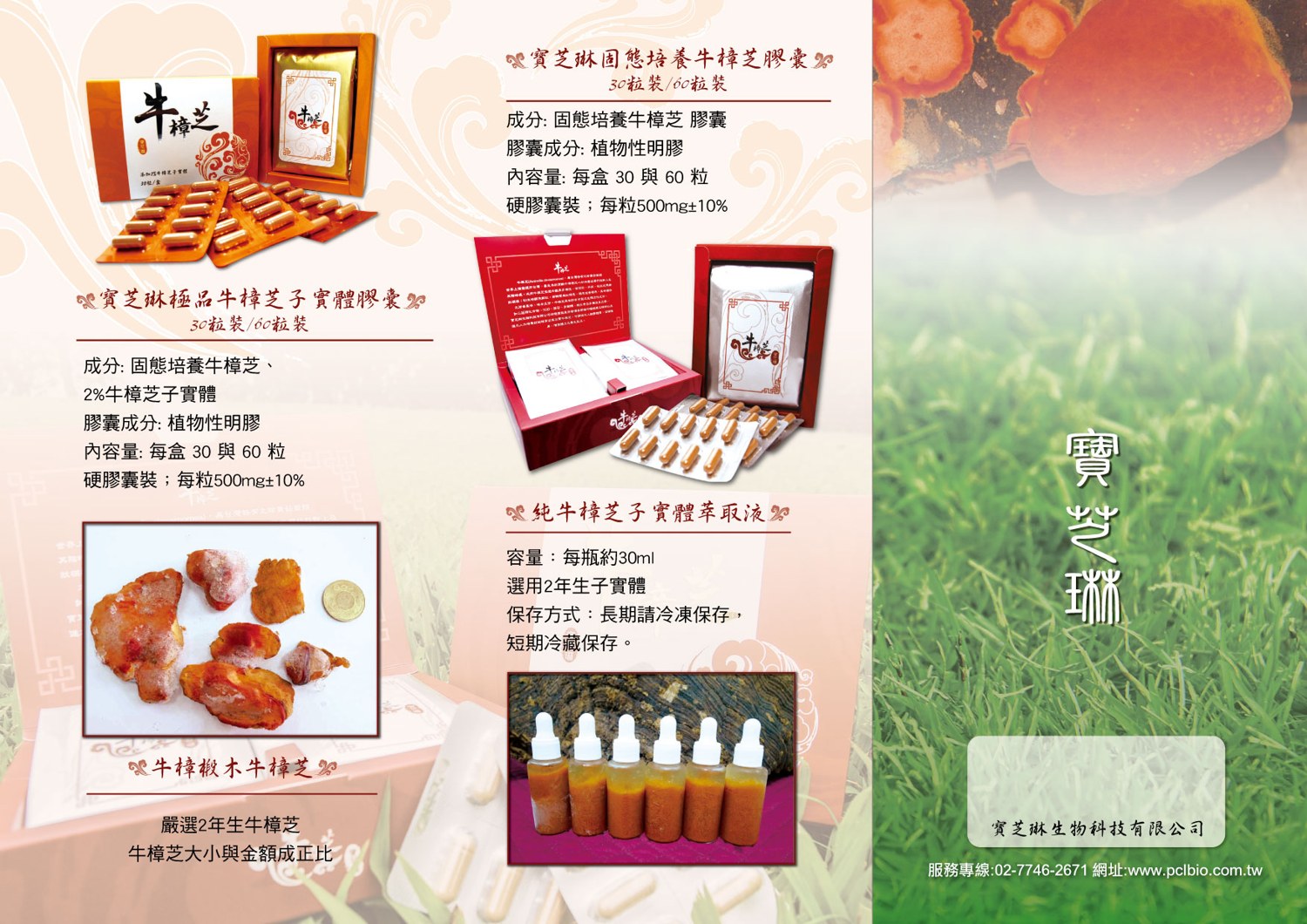 保健品・宣傳 DM，平面印刷稿